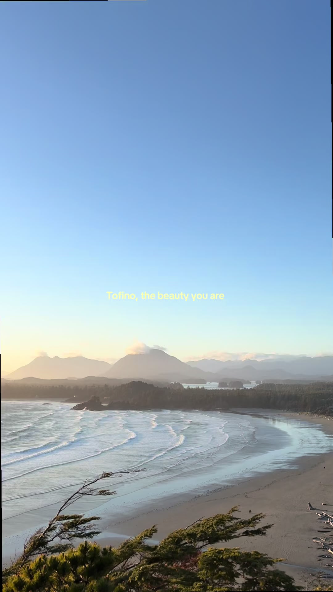 Tofino