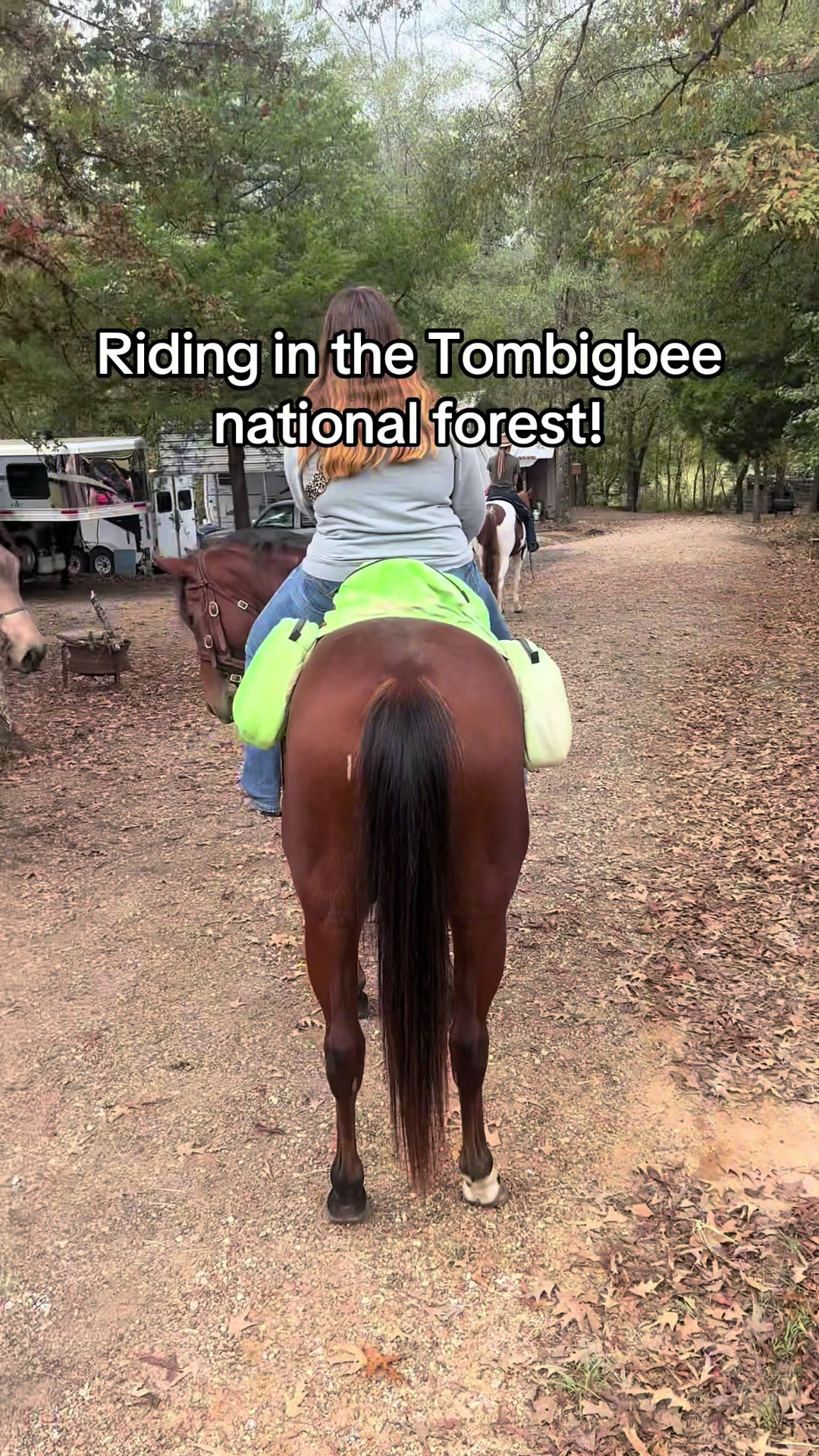 Tombigbee National Forest