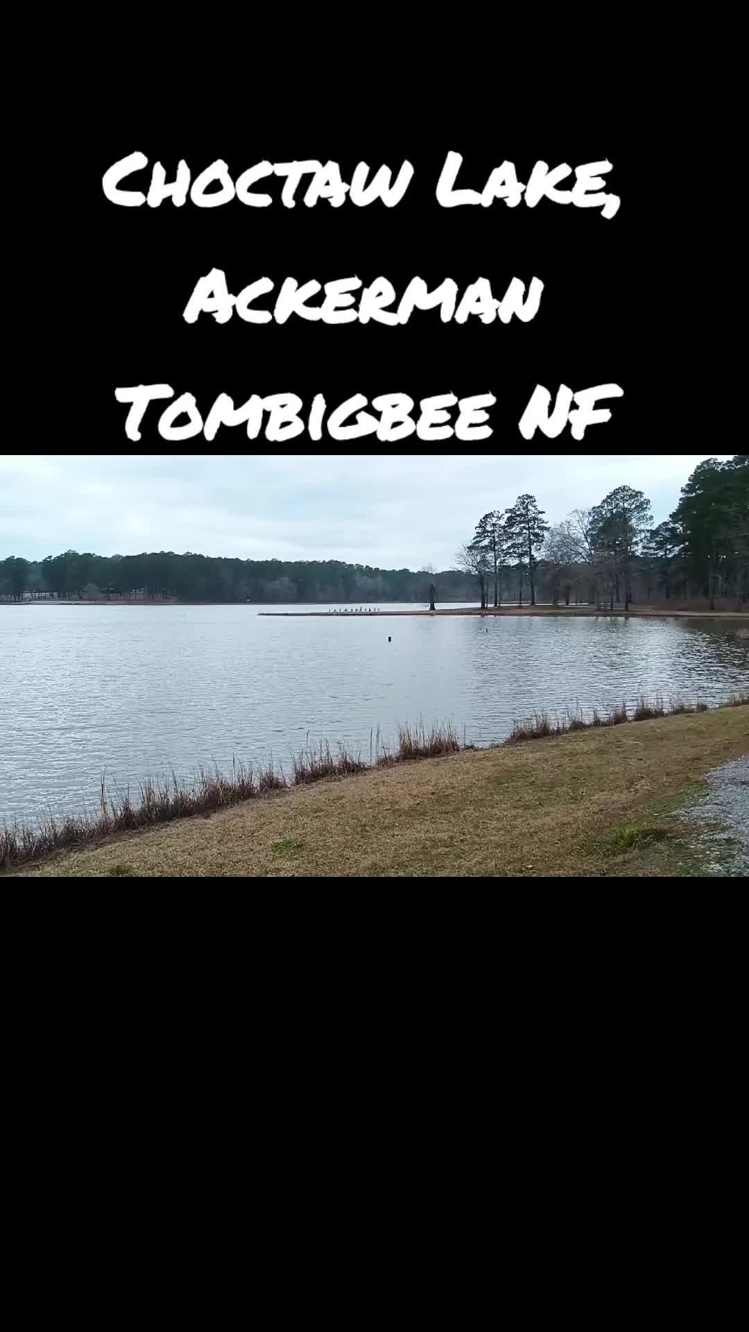 Tombigbee National Forest