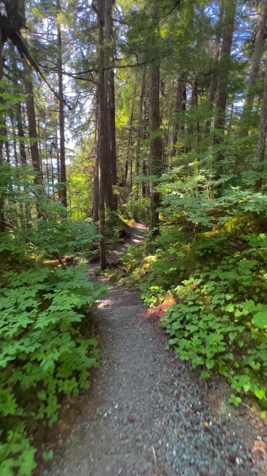 Tony Knowles Coastal Trail