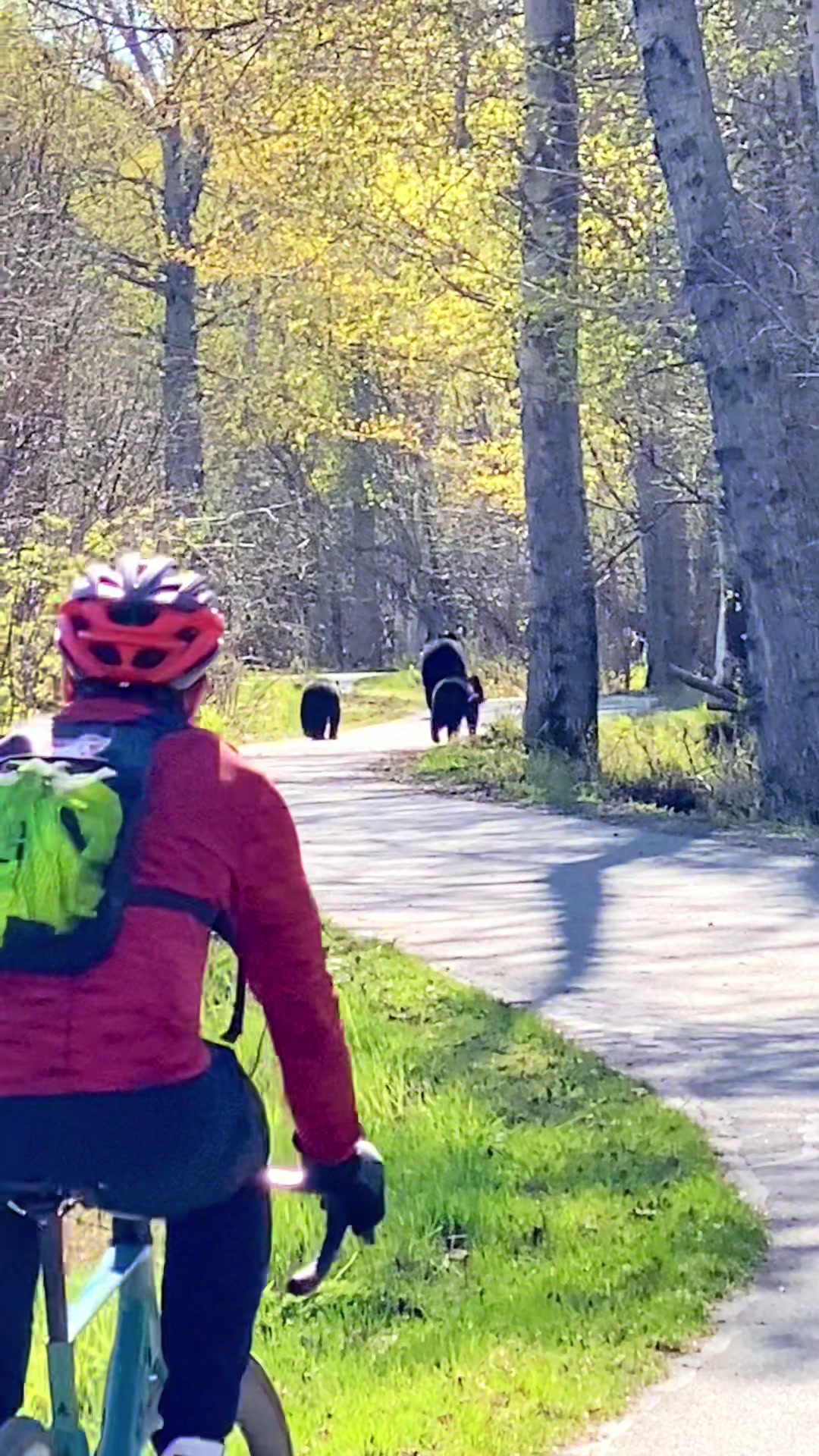 Tony Knowles Coastal Trail