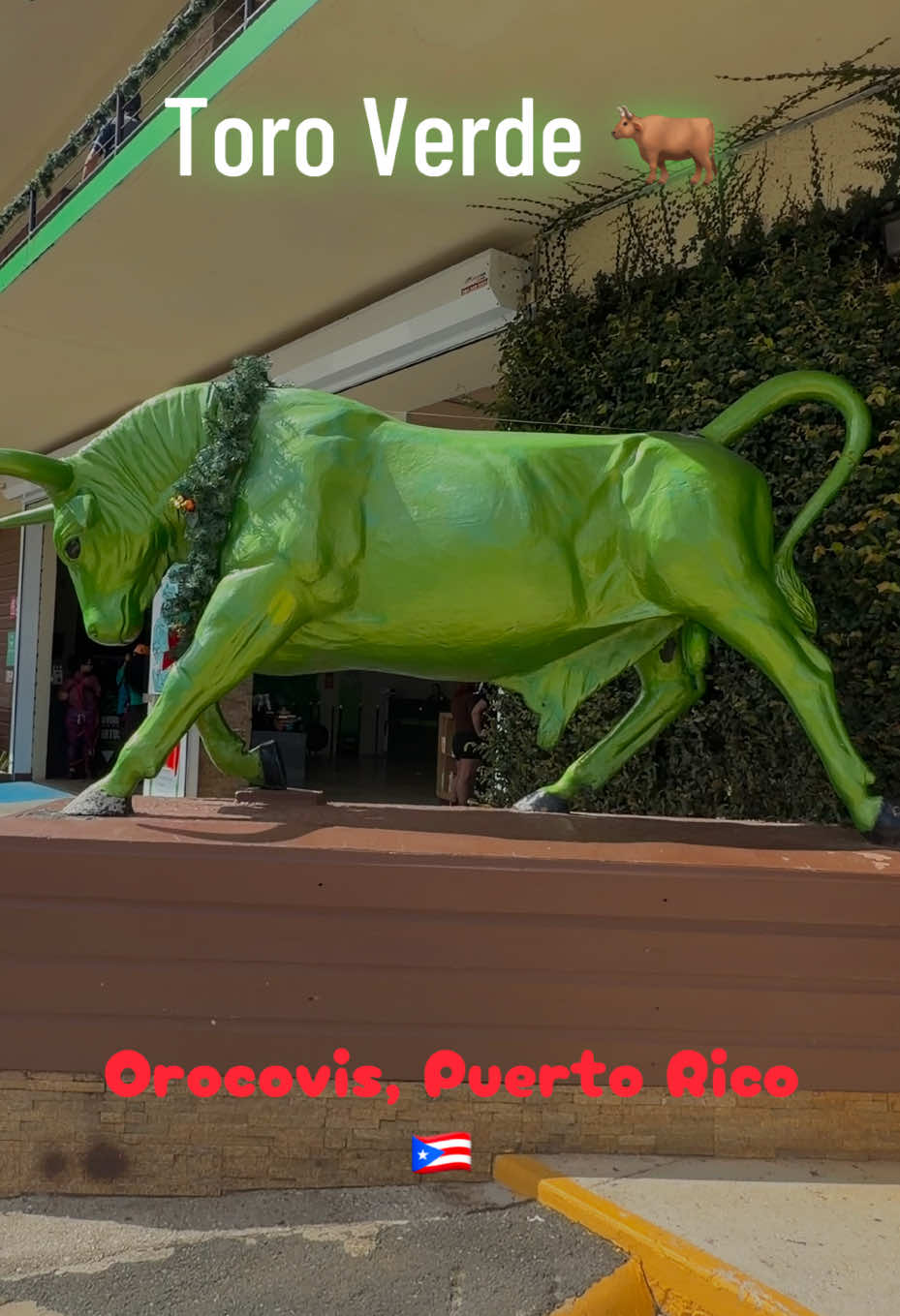 Toro Verde Adventure Park