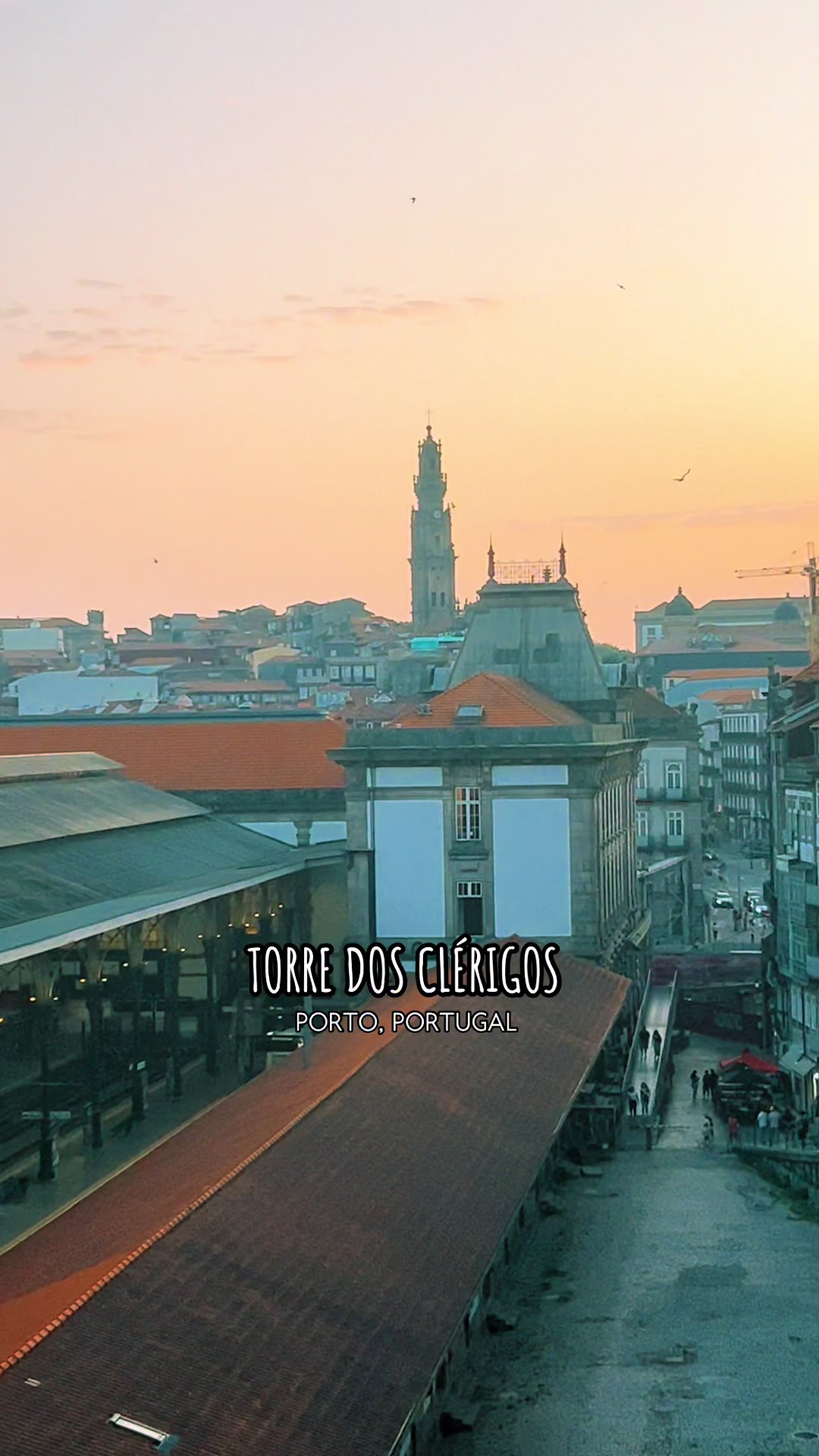 Торре-душ-Кларигуш (Torre dos Clérigos)