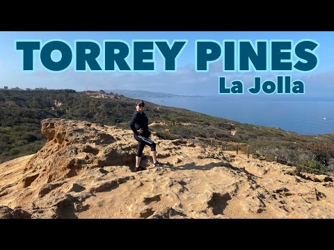 Torrey Pines State Natural Reserve