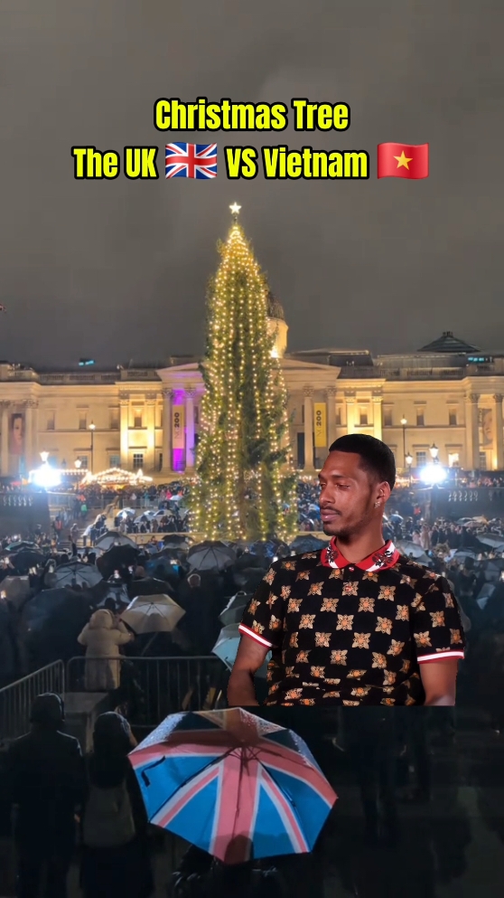 Trafalgar Square Christmas Tree
