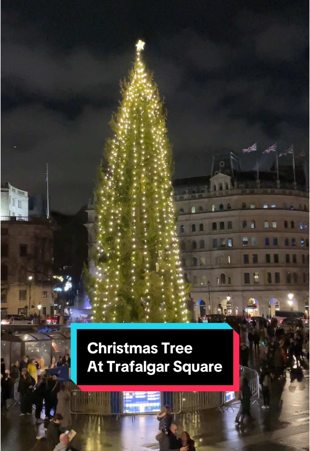 Trafalgar Square Christmas Tree