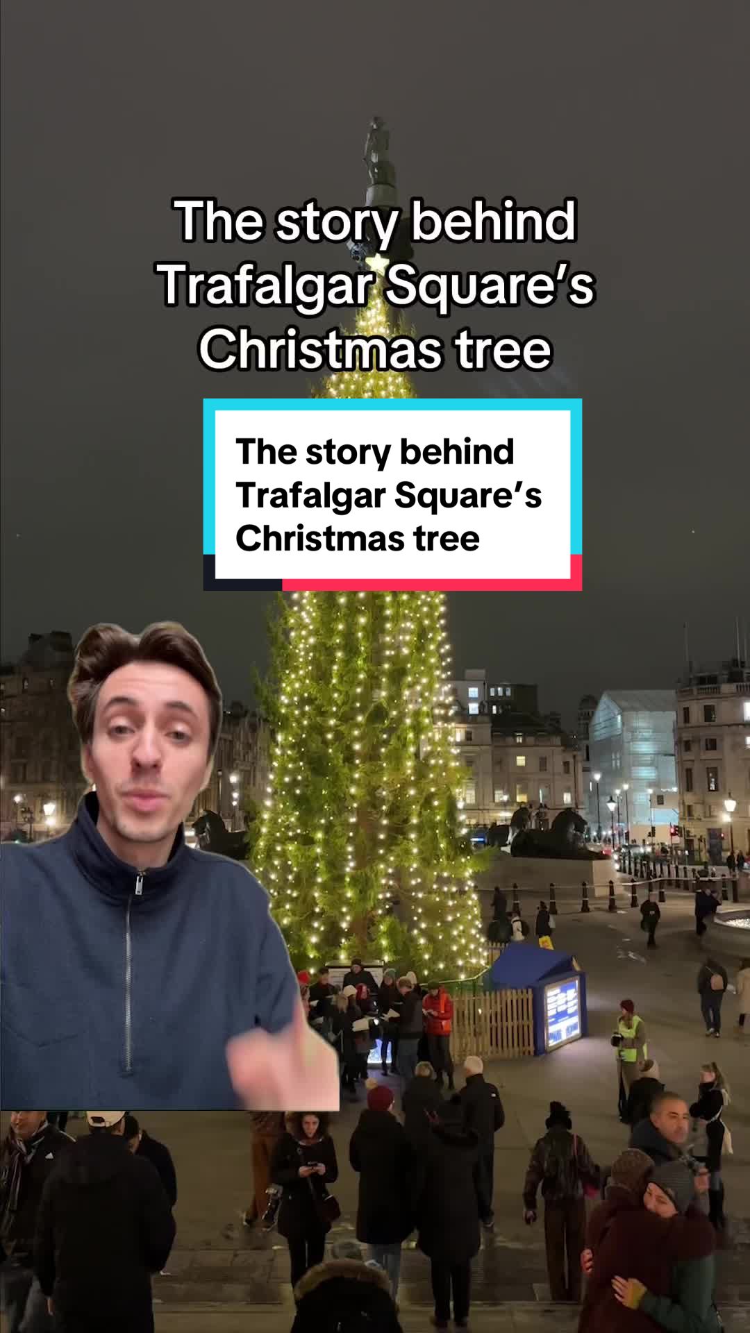 Trafalgar Square Christmas Tree
