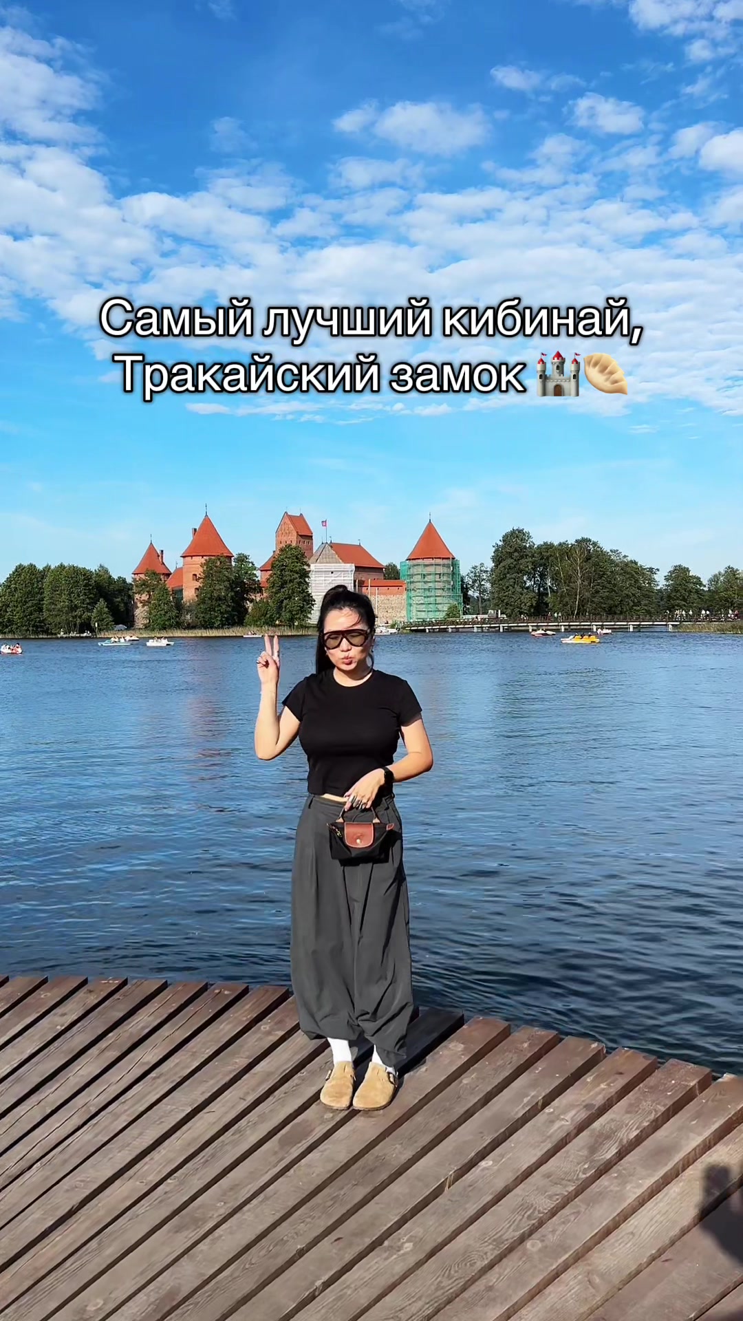 Тракайский островной замок (Trakai Island Castle)
