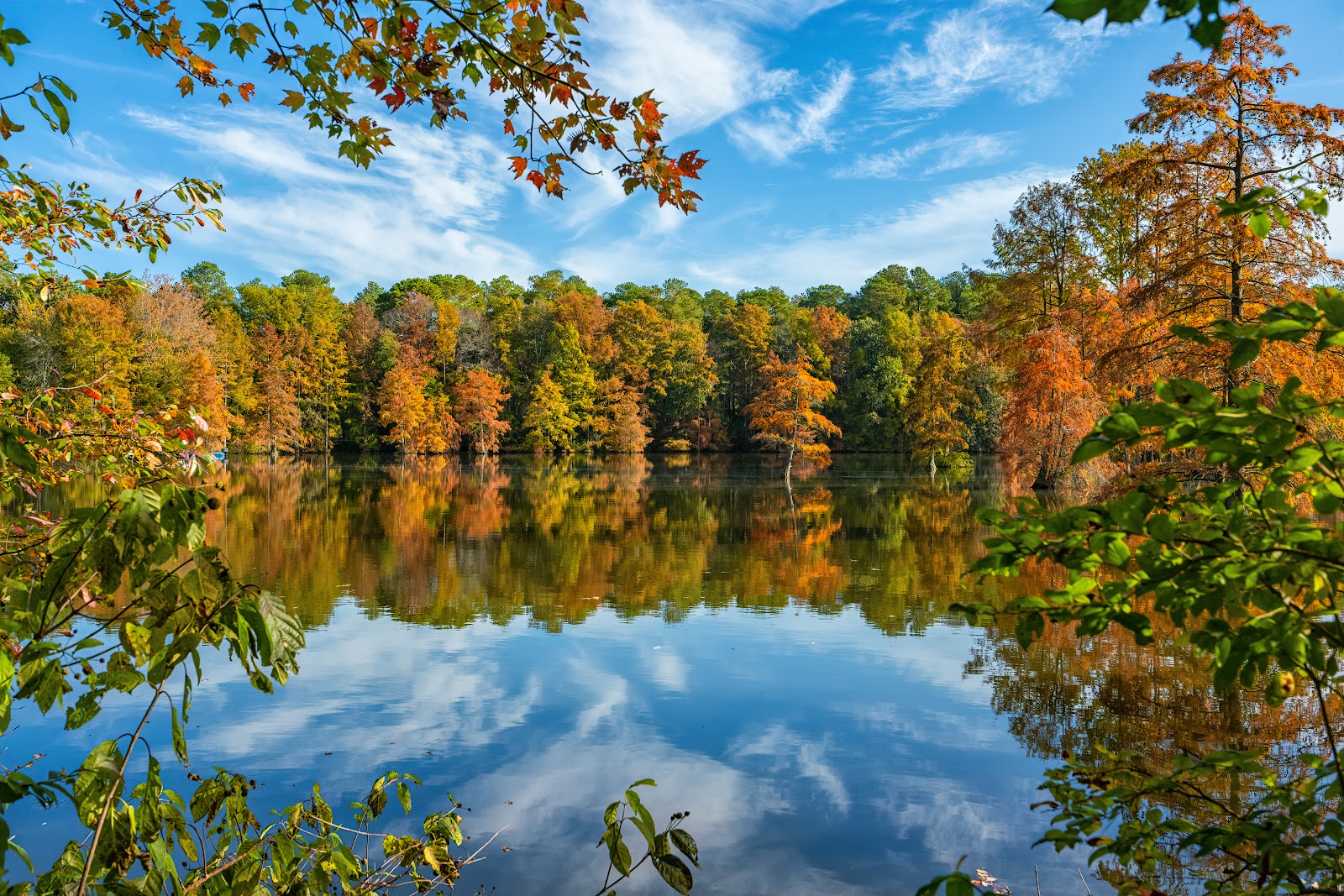 Trap Pond State Park