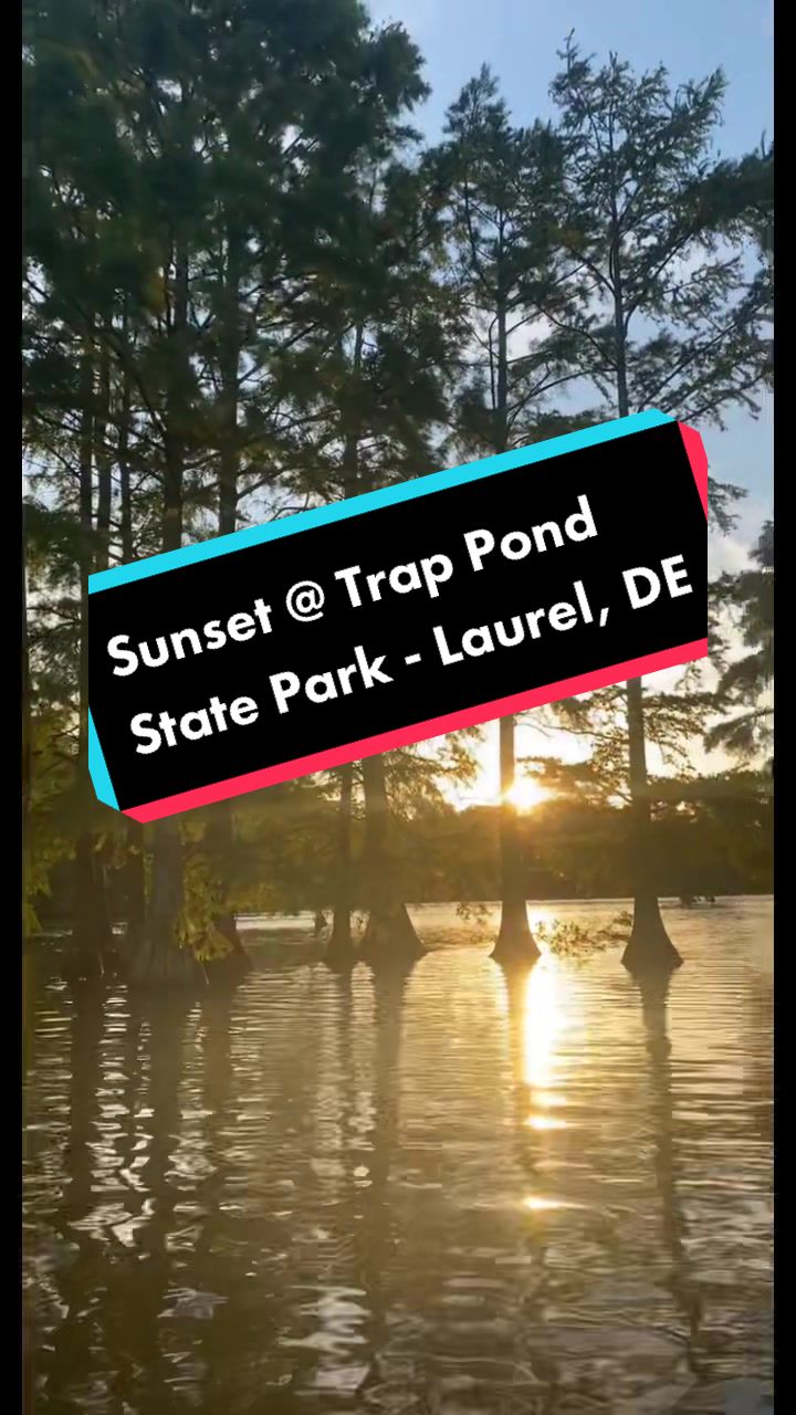 Trap Pond State Park