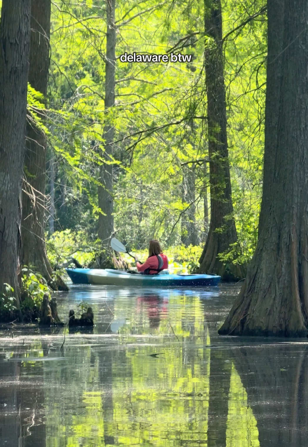 Trap Pond State Park