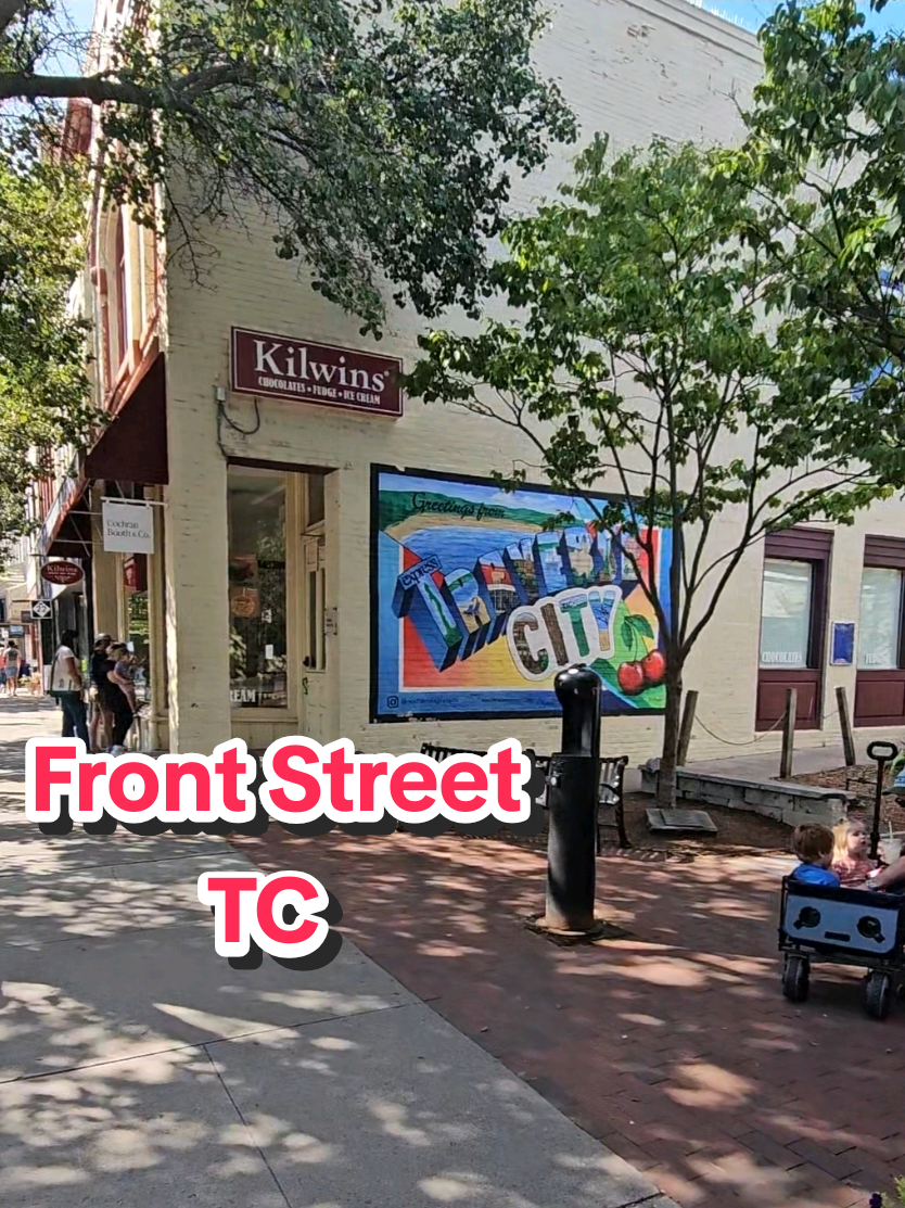 Traverse City (downtown, vineyards, beaches)
