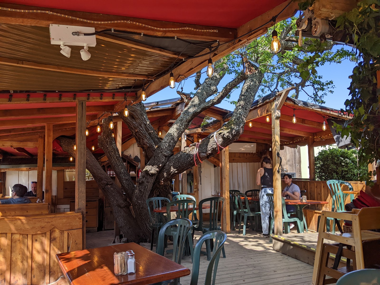 Picture for Salt Spring Island's Treehouse Cafe
