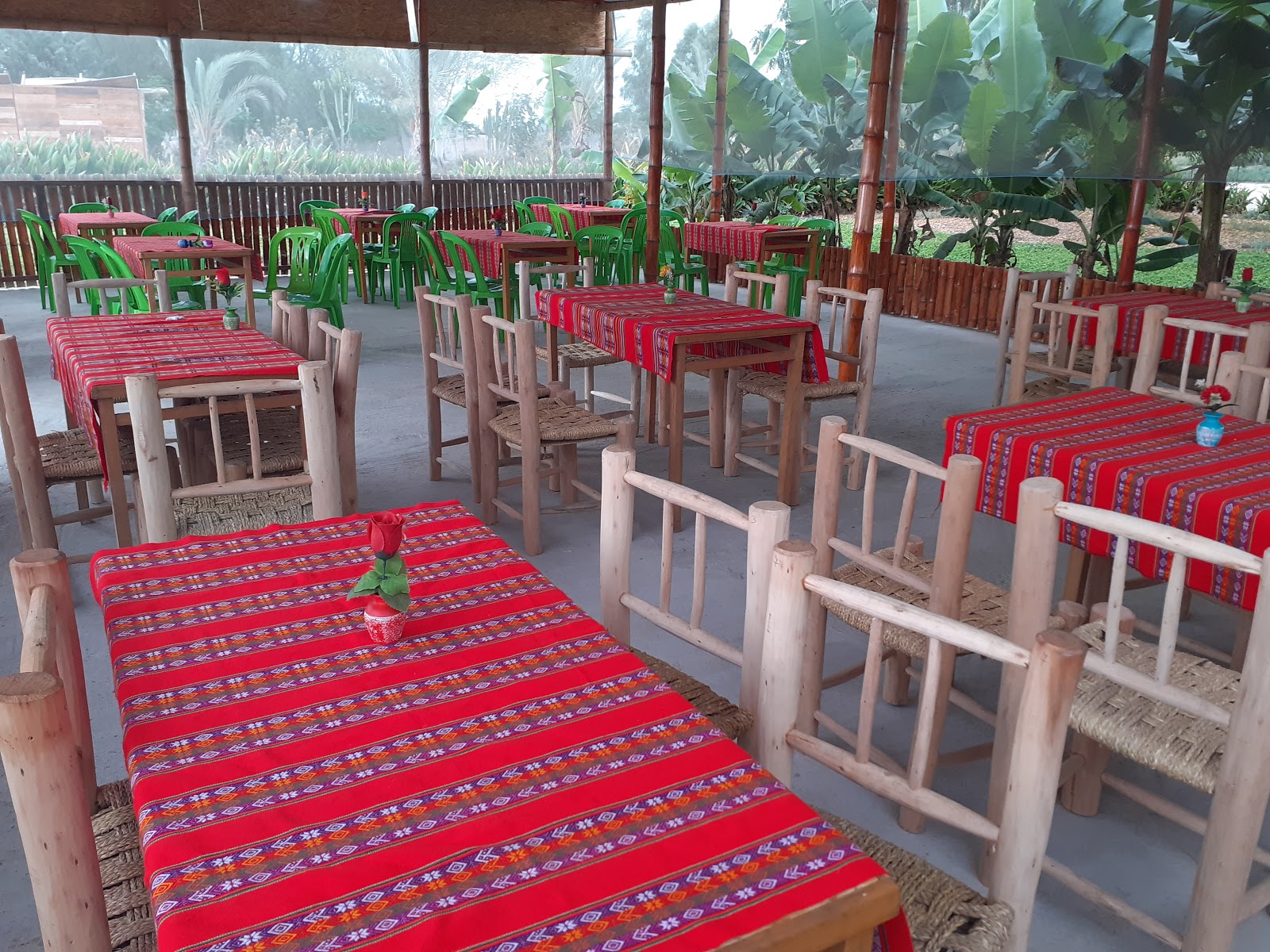 Picture for Treehouse Restaurant, Paracas