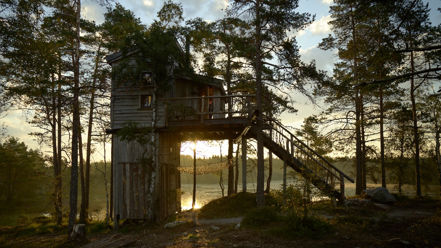 Изображение для TreeTop Fiddan
