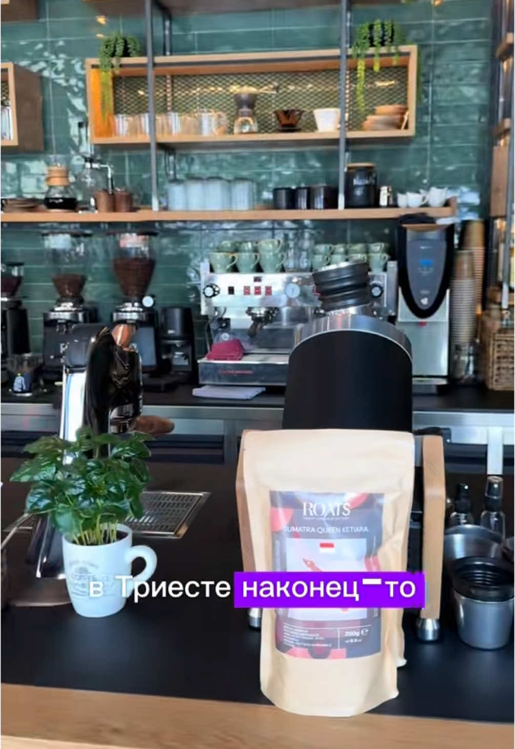 Триест, Италия