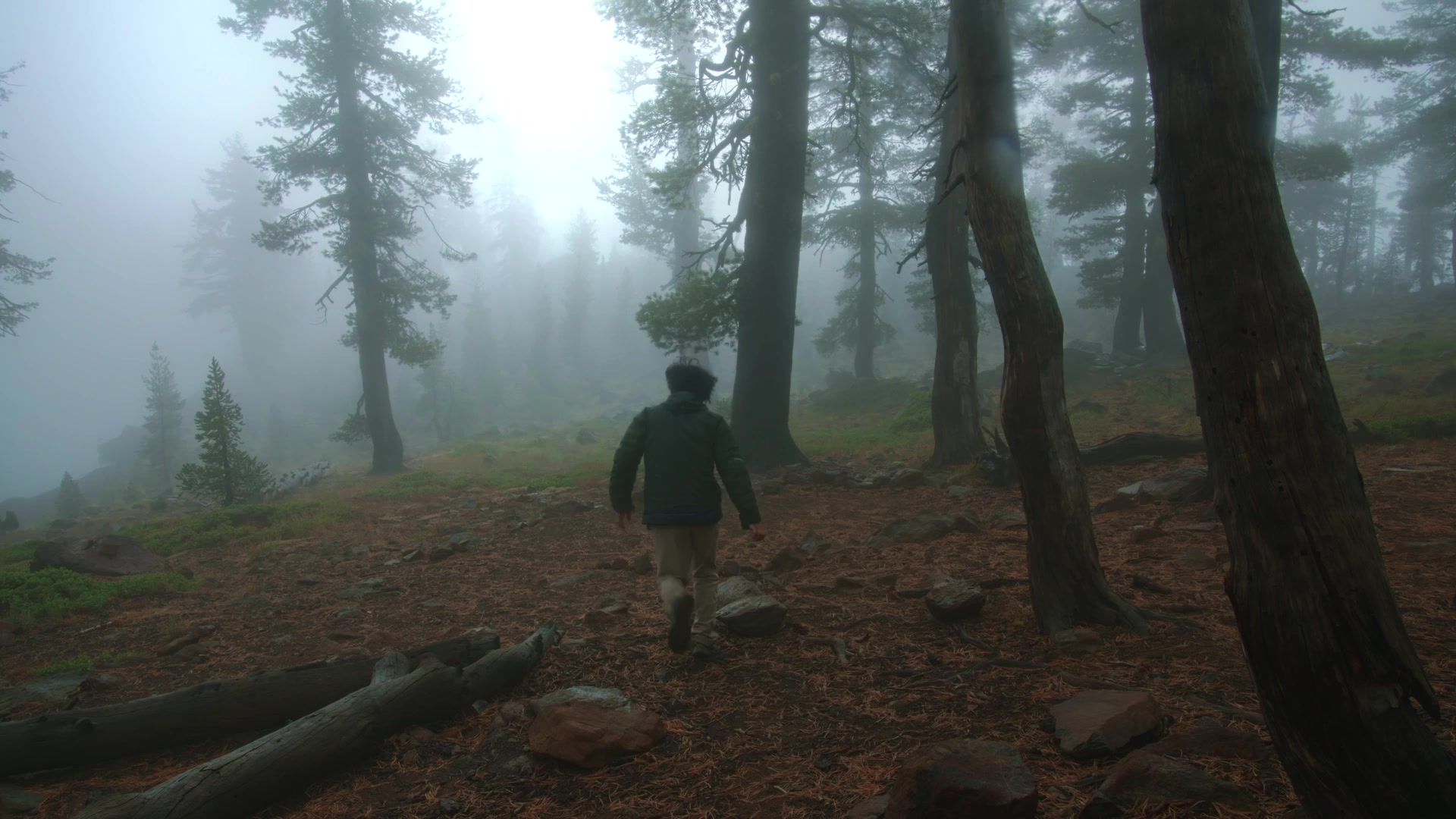 Trinity Alps Wilderness (Weaverville area)