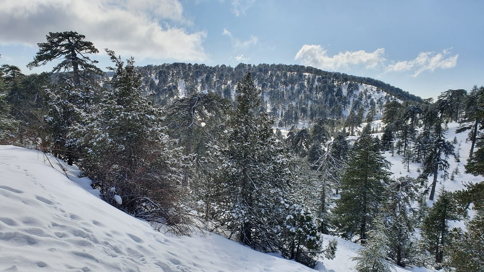 Горы Троодос (Troodos Mountains / Troodos Square)