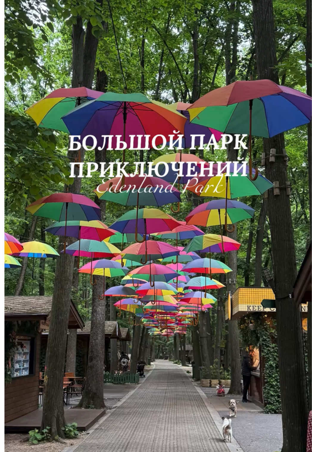 Центральный парк Плоешти