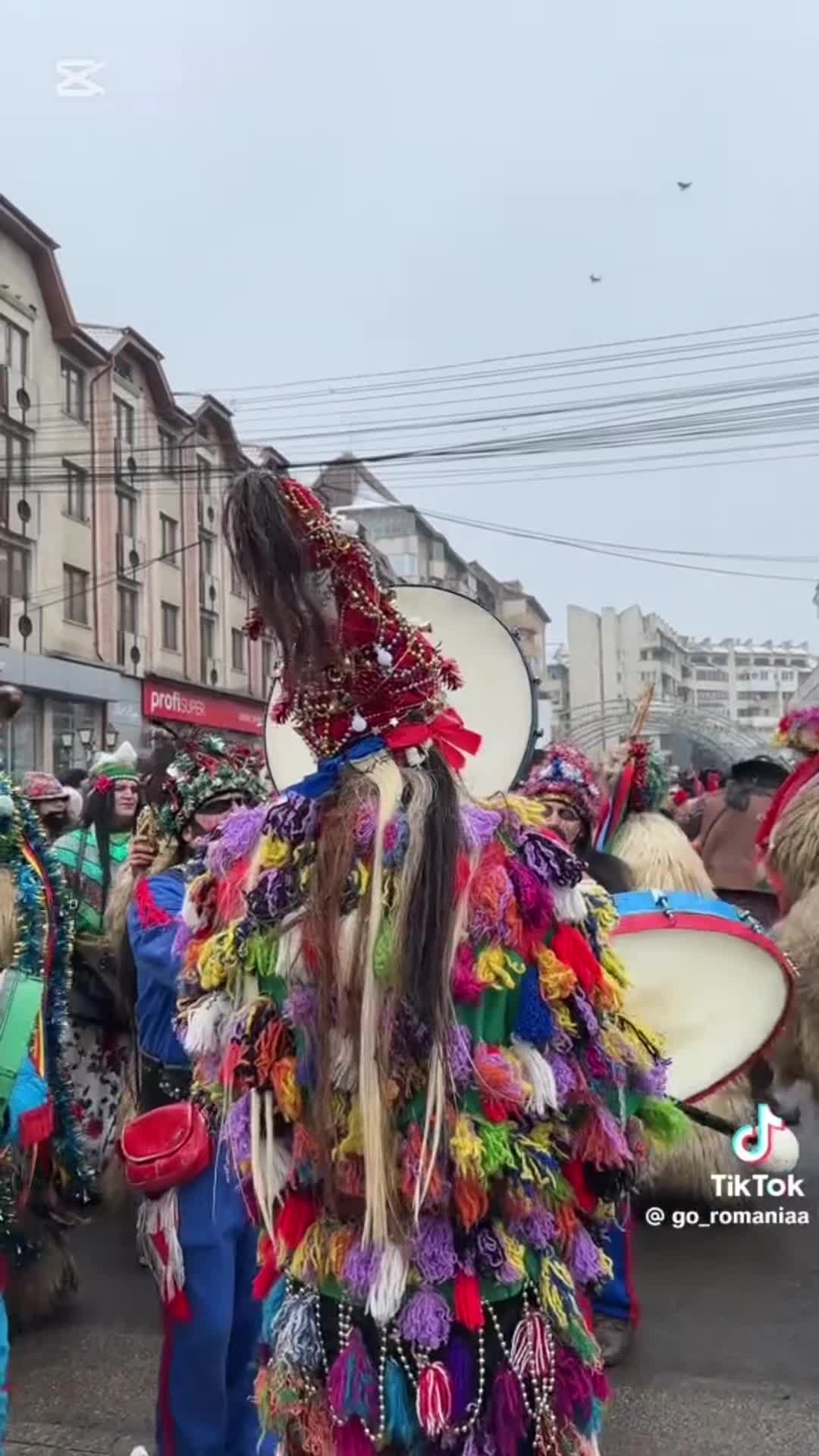 Центральный парк Сучавы (Parcul Central Suceava)
