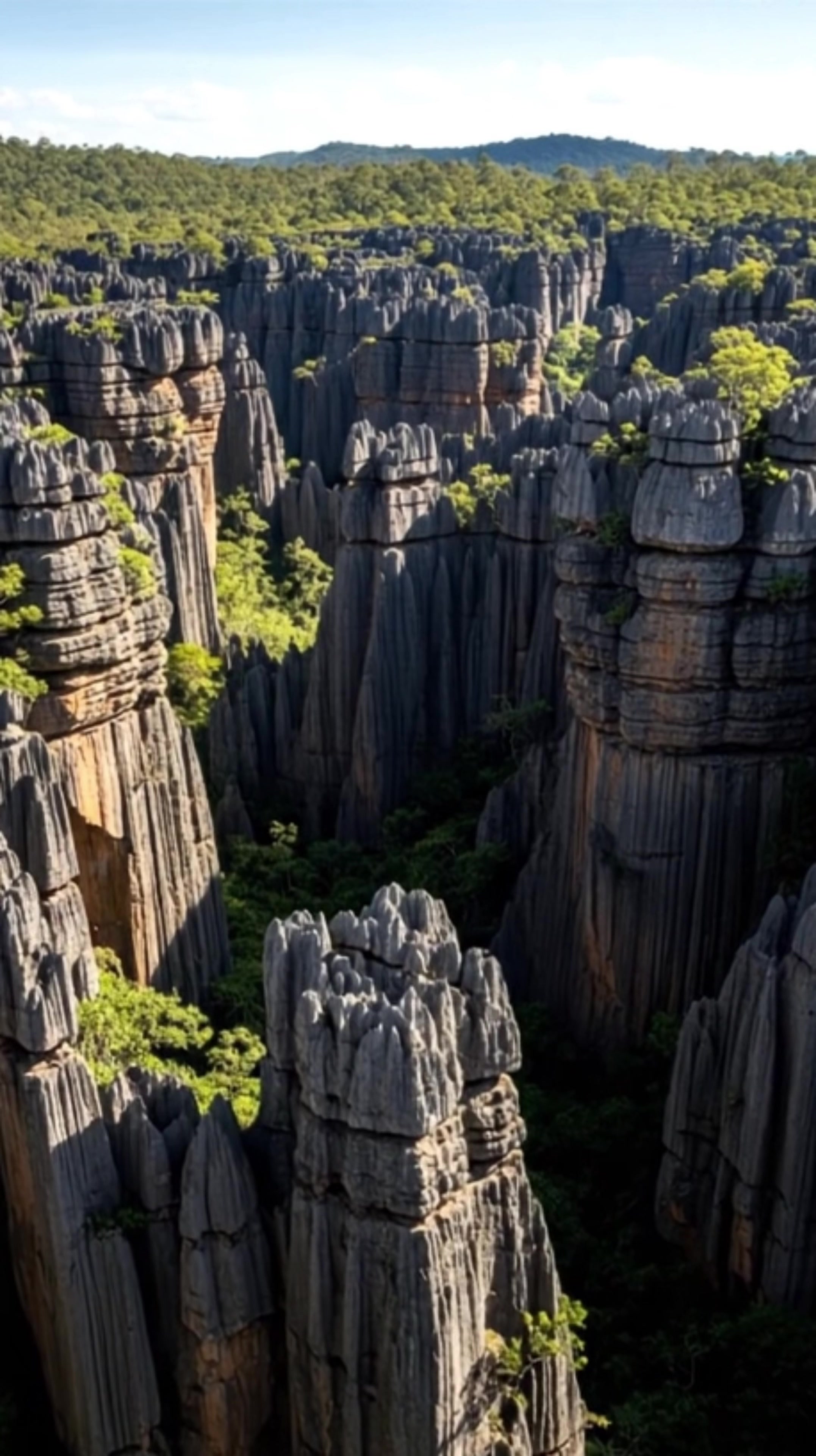 Tsingy de Bemaraha National Park