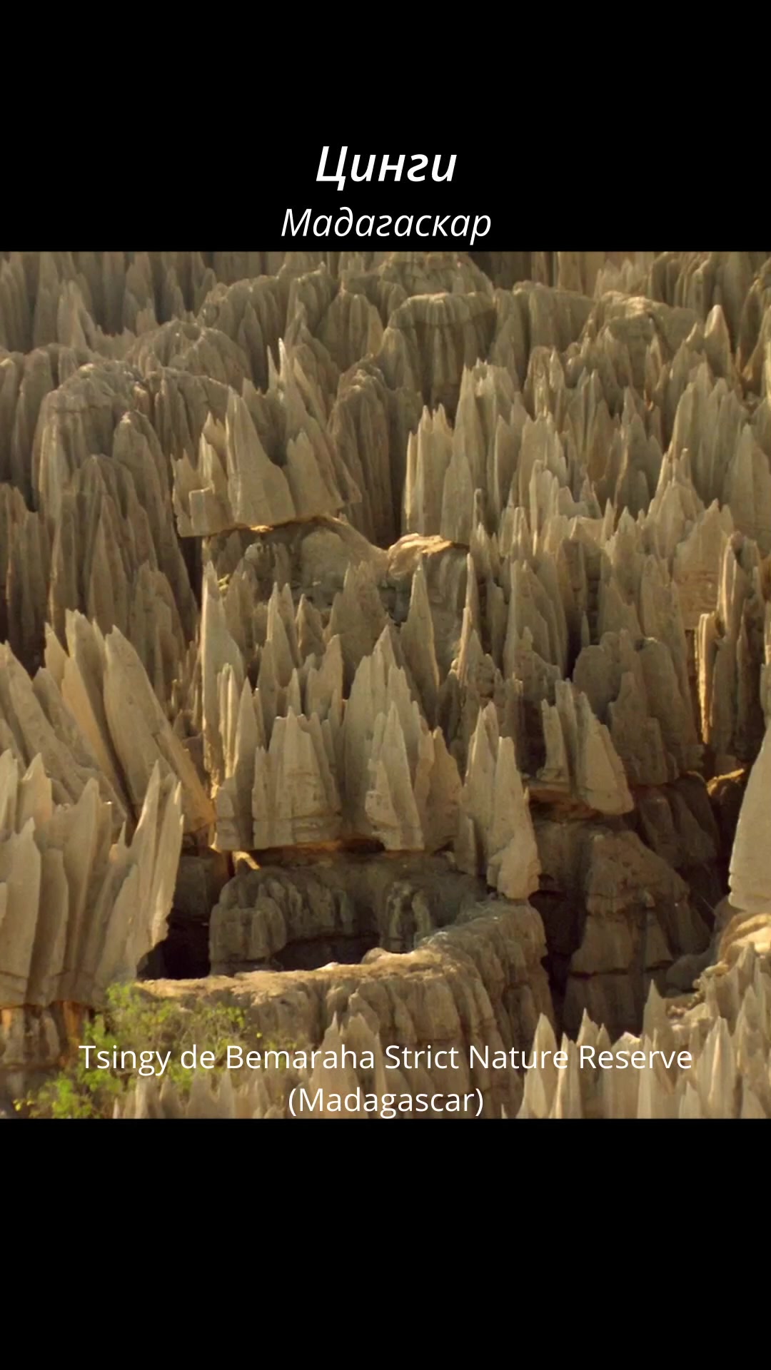 Tsingy de Bemaraha Strict Nature Reserve