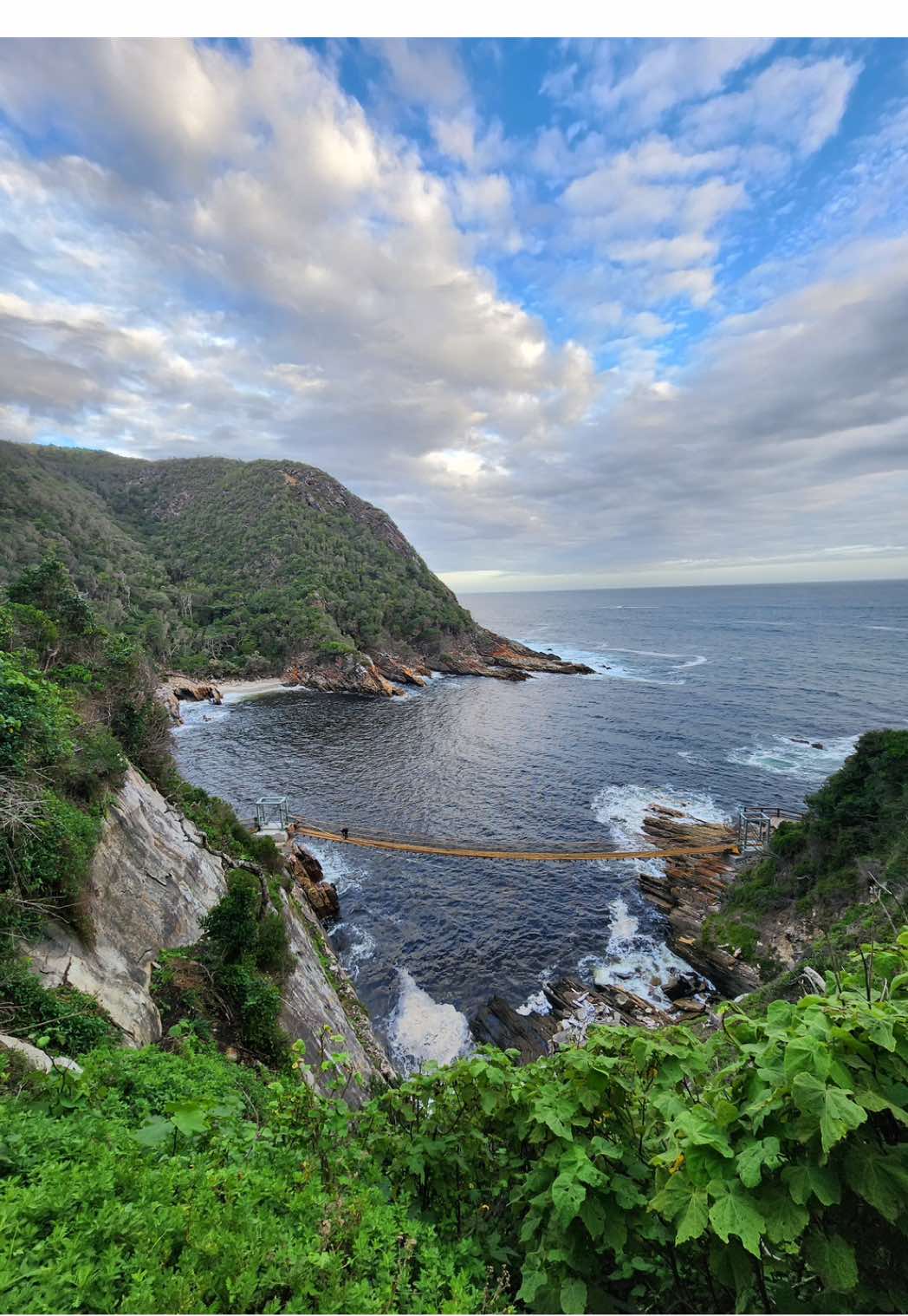 Tsitsikamma National Park