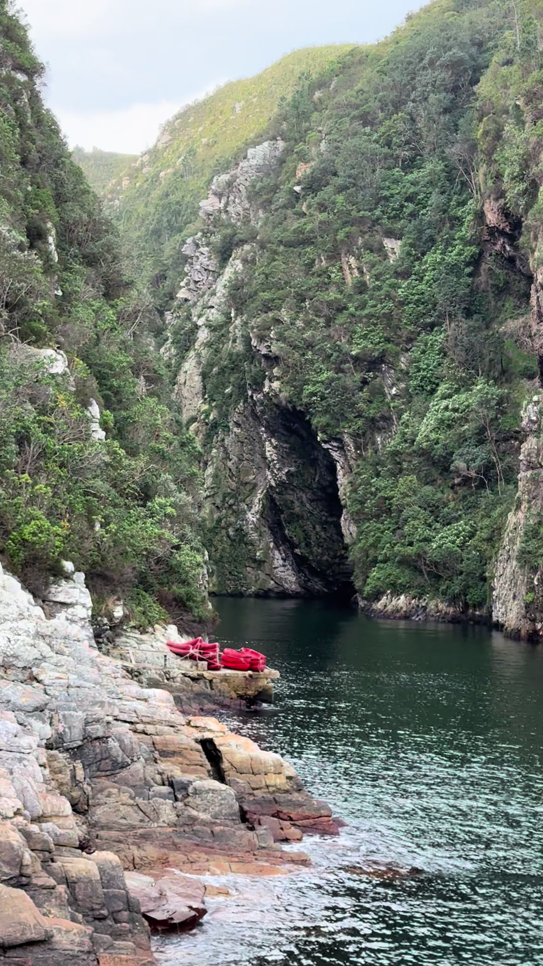 Tsitsikamma National Park