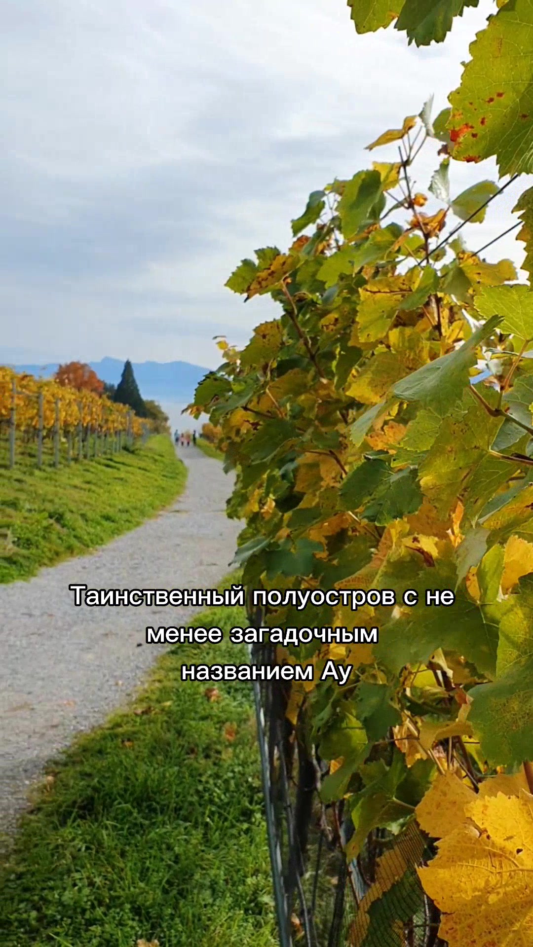 Цюрихское озеро (Rapperswil)
