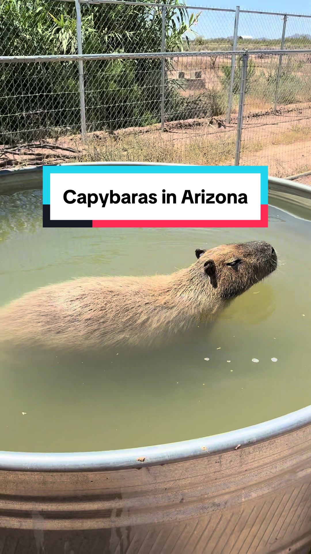 Tucson, AZ