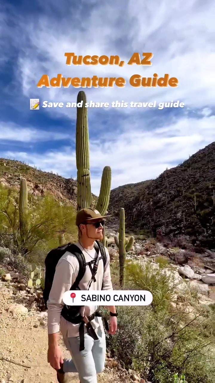 Tucson Mountain Park