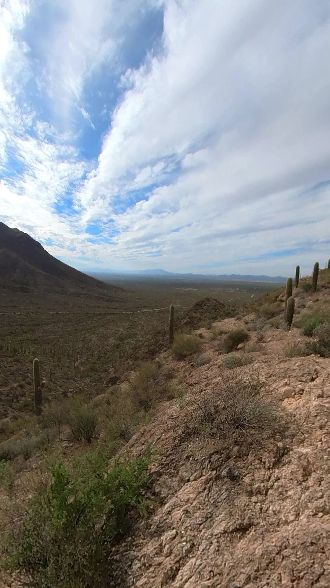 Tucson Mountain Park