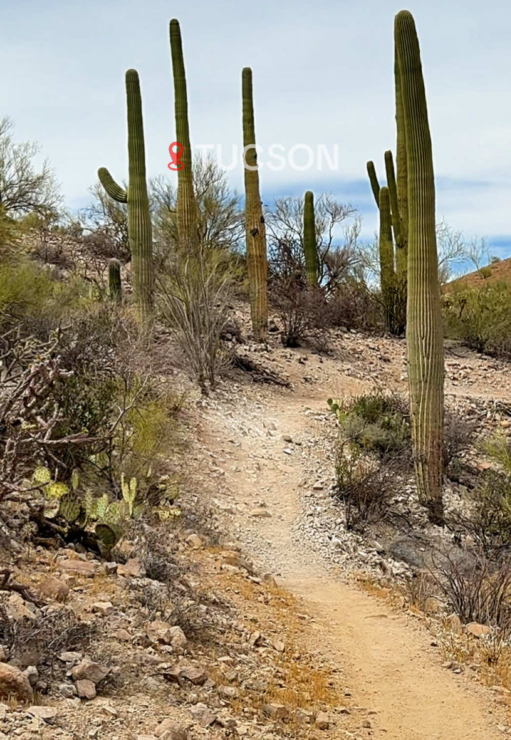 Tucson Mountain Park