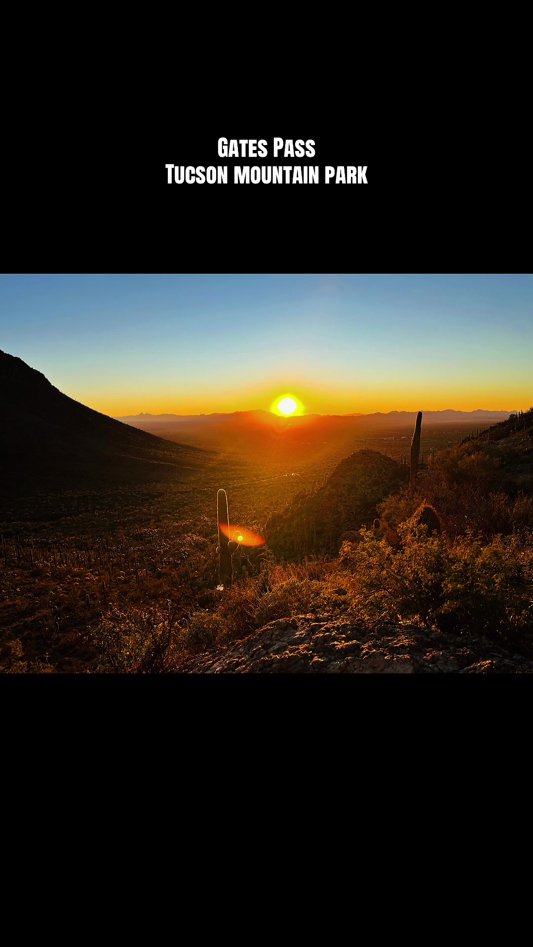 Tucson Mountain Park