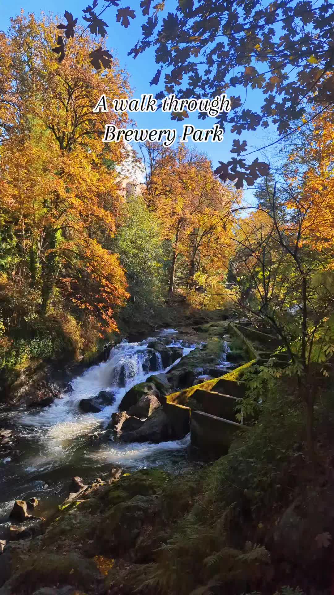 Tumwater Falls Park