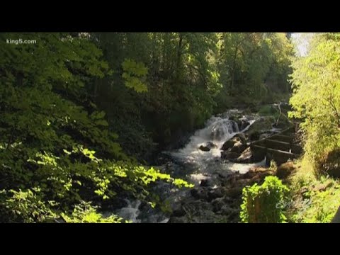 Tumwater Falls Park