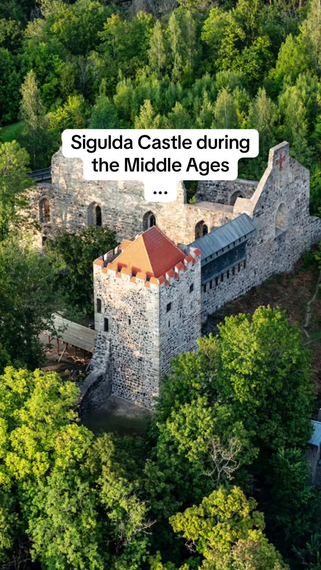 Турайдский замок (Turaida Castle)