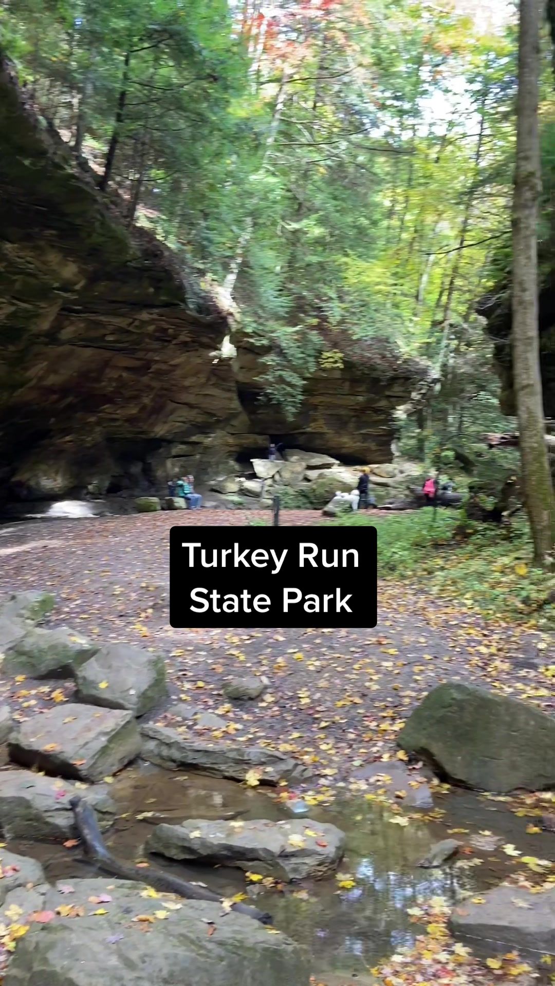 Turkey Run State Park