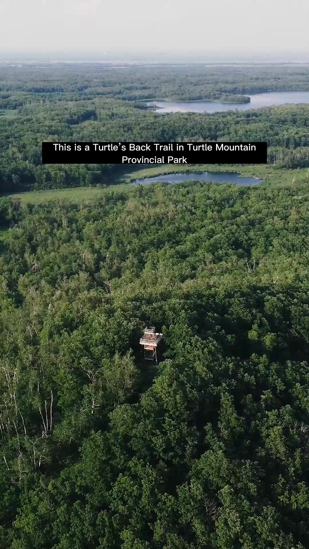 Turtle Mountain Provincial Park (Adam Lake area)