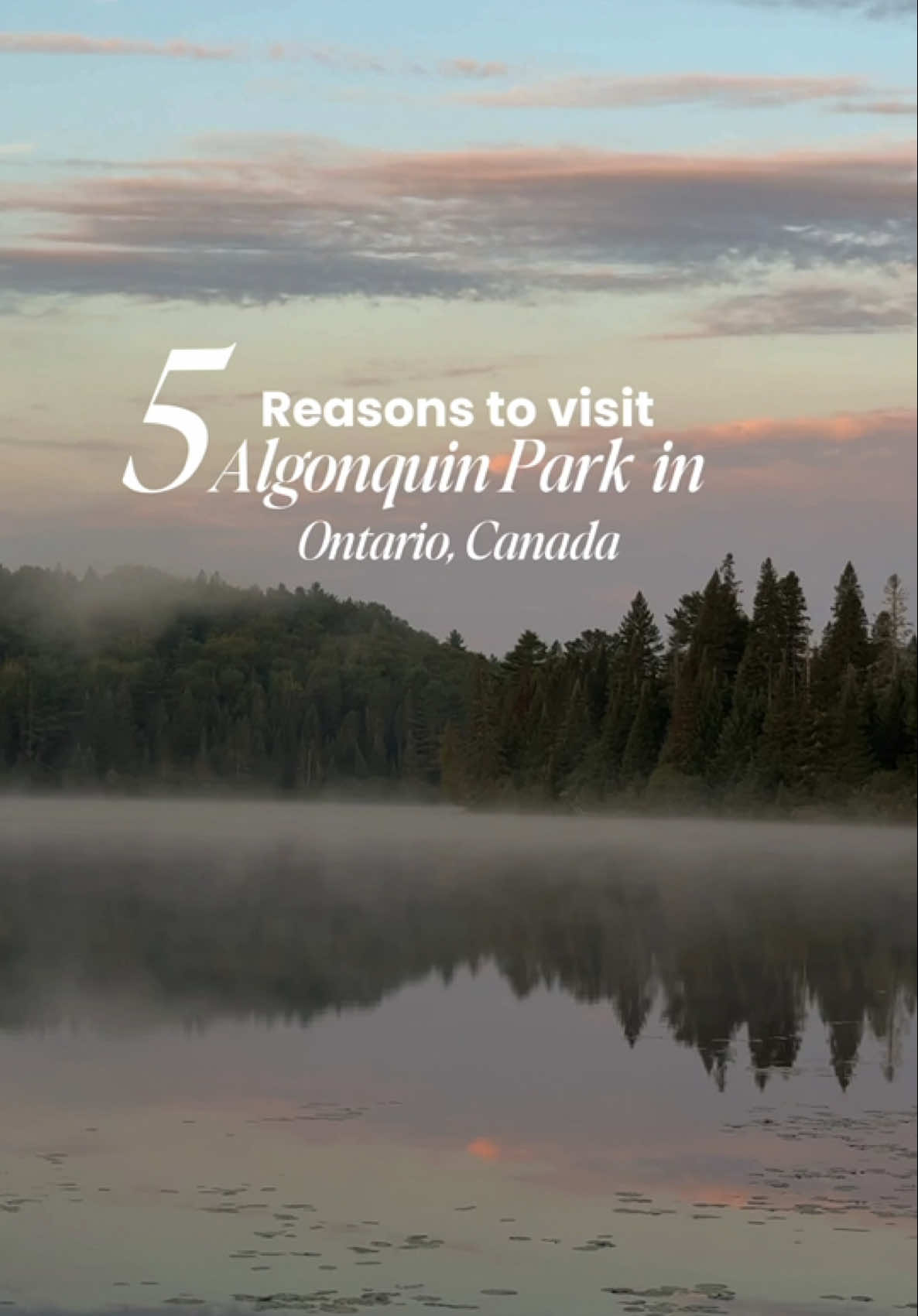 Turtle Mountain Provincial Park (Adam Lake area)