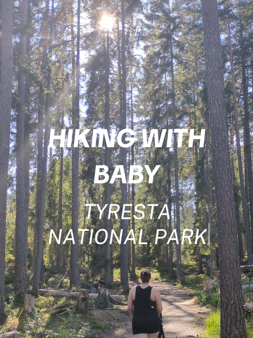 Tyresta National Park