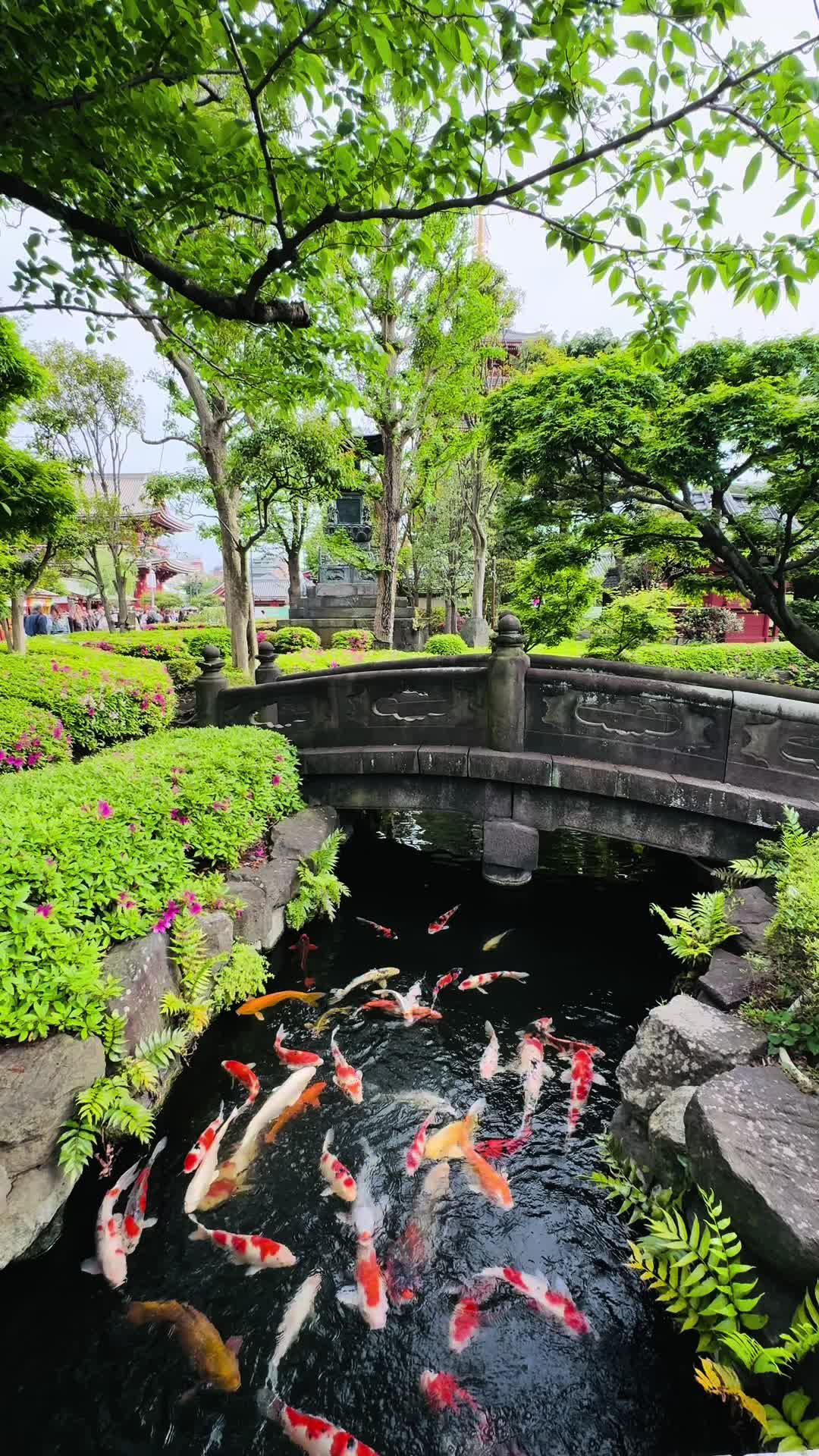 Ueno Park