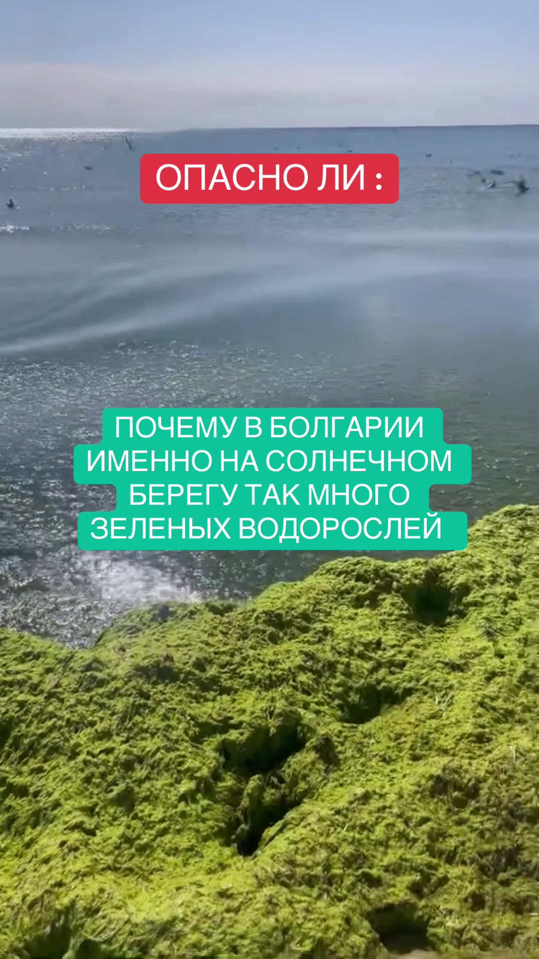 Улица Александра I Батенберга (главная пешеходная)