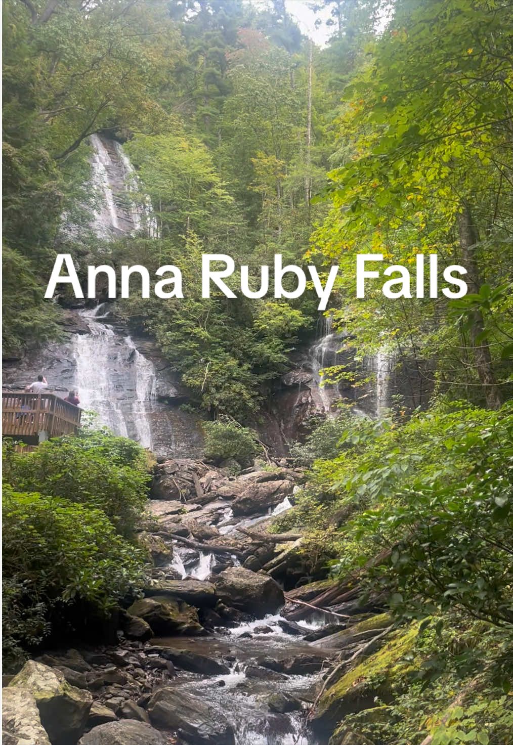 Unicoi State Park