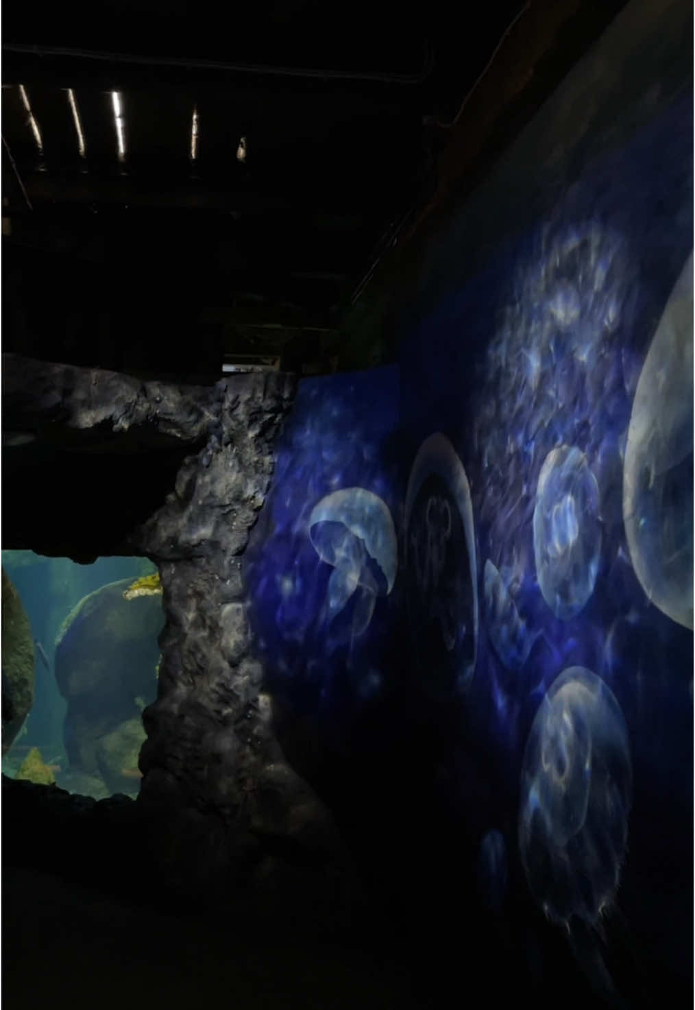 Universeum (Научный центр, Гётеборг)