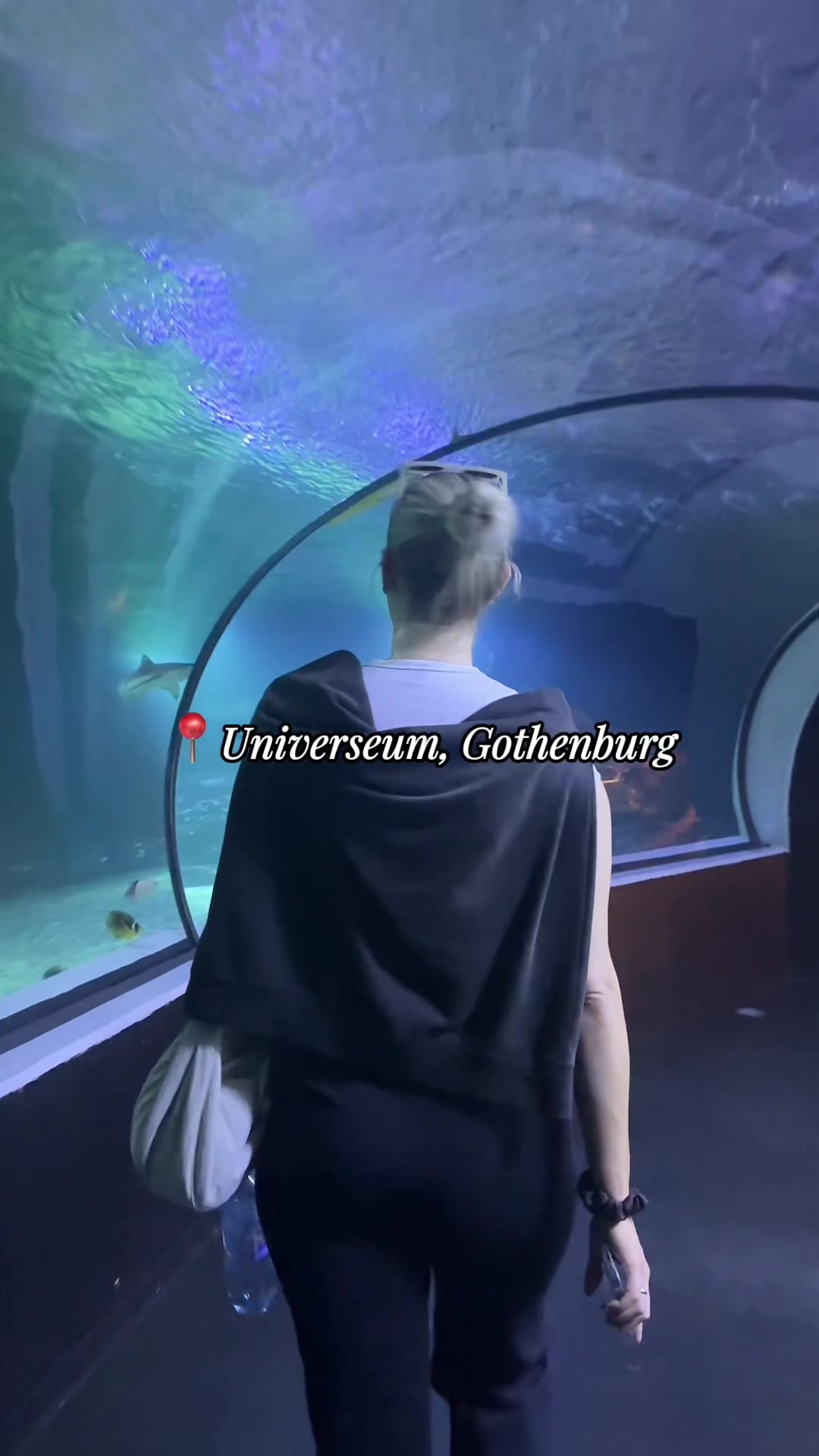 Universeum (научный центр с аквариумом, Гётеборг)