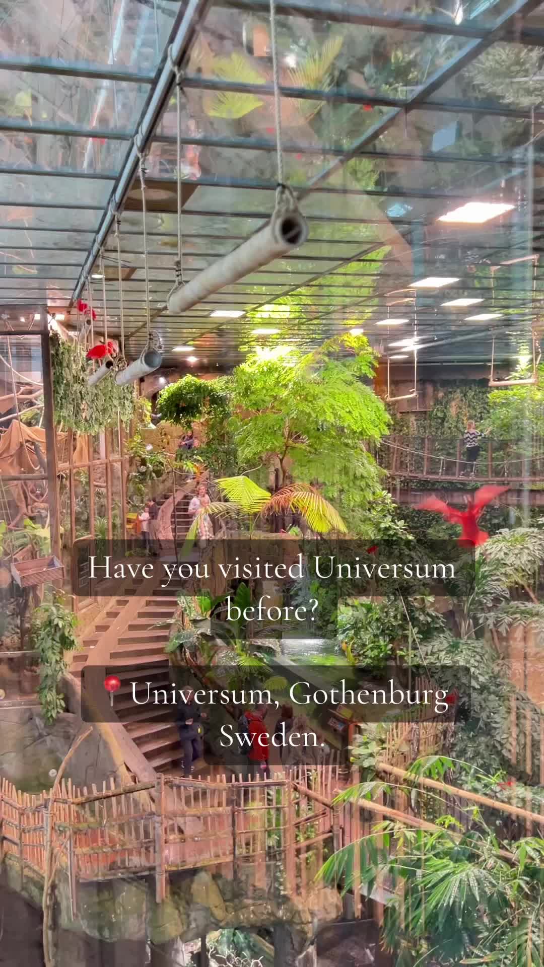 Universeum