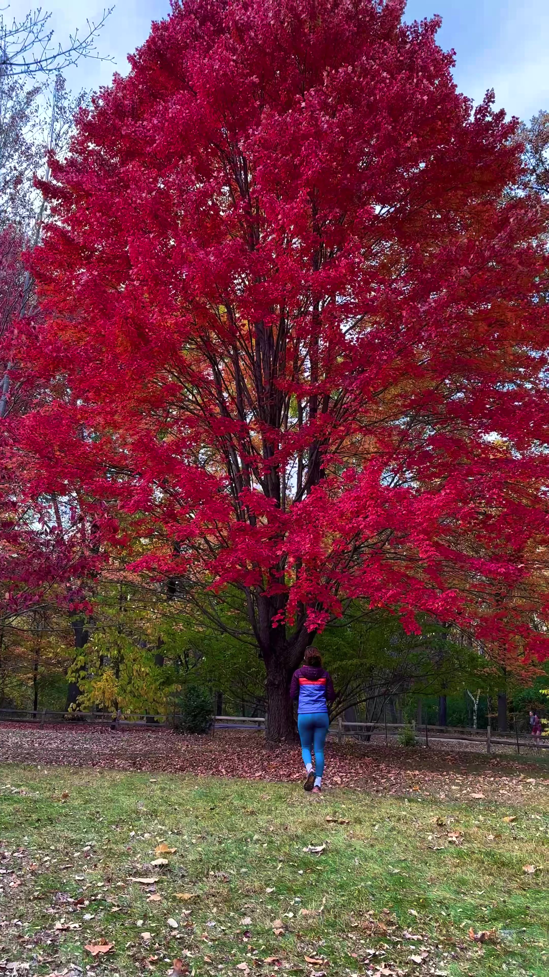 University of Wisconsin Arboretum