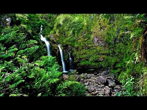 Upper Waikani Falls