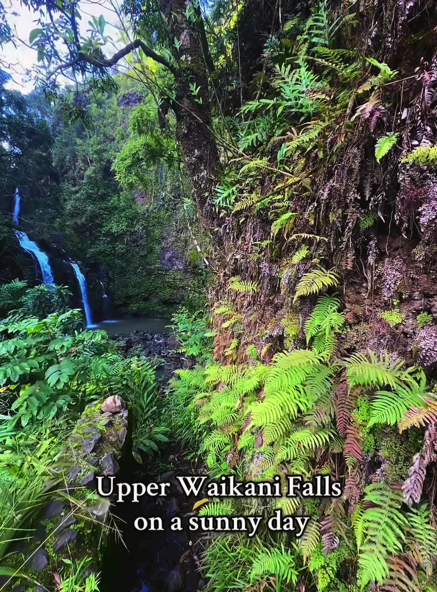 Upper Waikani Falls